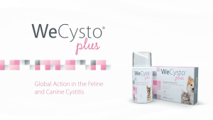 WeCysto Plus Tablet (30 tablet) for cats & dogs ubat kucing susah nak kencing tak lawas cystaid plus