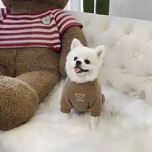 Áo cho Chó mèo có tay hình chú gấu dễ thương (mẫu mới) - Hara Pet Store