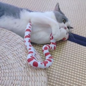 Pet Chew Toy Fabric Snake Teaser With Catnip Bite Chase Interactive Pet Toy For Cat & Dog