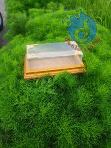 kotak uang mahar tempat uang serahan pernikahan warna gold putih dan silver ukuran 17 x 8 tinggi mika 6 bahan frame piber mika 0.25 tatakan triplek sangat cocok buat acara lamaran peenikahan elegan simpel epektip dan efisien. mudah di dekor