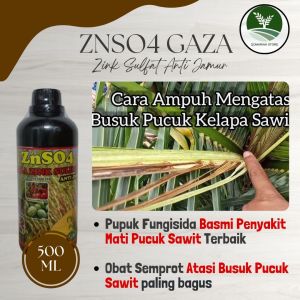 Pupuk Fungisida Busuk mati pucuk kelapa sawit terbaik - ZNAO GAZA 500 ML - Obat semprot busuk pucuk kelapa sawit terbaik - Obat Busuk Batang Kelapa sawit - Obat Pucuk Sawit Pucuk - Obat Busuk Buah Kelapa Sawit Terbagus