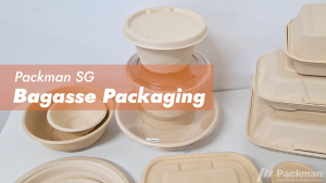 Natural Compostable Sugarcane Round Plate Disposable Bagasse Plate Biodegradable Eco-Friendly Plate Oil and Waterproof