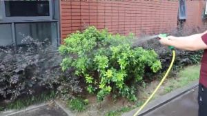 GEMUK Paket Selang Air 30 Meter 1/2 5/8 3/4 inch Selang Air Cuci Motor Selang Benang Anti Lumut Dengan Semprotan Air Jet Spray Kencang Cuci Motor Mobil Siram Tanaman Tebal