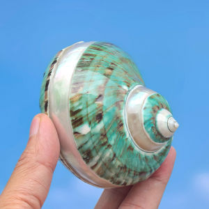 Aquarium Ornament Home Decor Gift