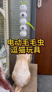Pet Toy Cat Electric Interactive Suction Cup Caterpillar Smart Sensor Pet Automatic Cat Teaser Wand For Cats