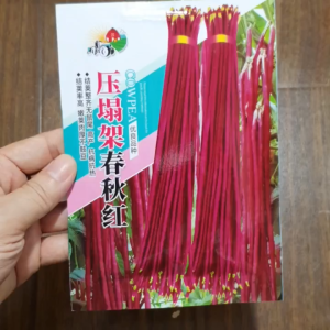 Hạt Giống Đậu Đũa Tím Đỏ Chất lượng cao nhập khẩu china hạt giống đậu dải áo tím đỏ -shop Hoang My food and beauty