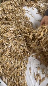 ปลาชิงชัง ปลาซิวตากแห้ง 1 กิโลกรัม