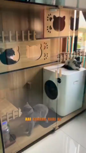 Cat House Premium Rumah Kucing Cat Condo Mainan Rumah Kucing Cat Rumah Villa Kandang Kucing Large