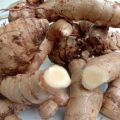 Kunyit Putih Segar 1kg Asli Temu Putih Curcuma Zedoaria Kunir Putih. 