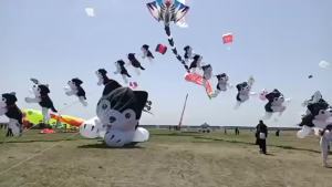 Giant kites flying inflatable kites dog kite pendant soft kite outdoor toy wind pointer inflatable toys big kite large kite fun