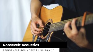 Senar Gitar Akustik Roosevelt Original Phospor Bronze Anti Rust Coat