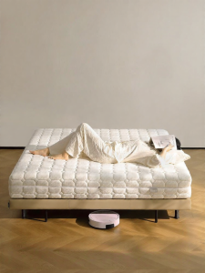 Pocket Spring Mattress Natural Coconut Palm Mattress