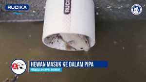 Fitting Pipa Paralon: Cegah Hewan Masuk Anti Banjir Otomatis Buka Tutup Ukuran 4 Inchi