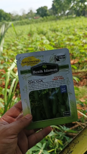 Benih Timun BESAR Hibrida F1 GILGA 20 gram ±880 biji Tahan Virus Asli Benih Idaman Hijau Gelap Rujak