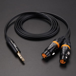 Choseal | Dây Cáp Âm Thanh 6.5mm sang Dual XLR Male