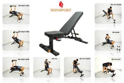 ghế tập tạ đa năng dd012 lionsport