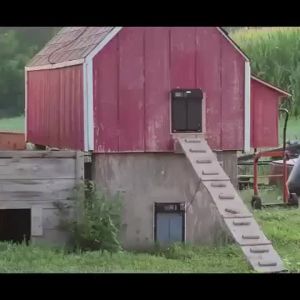 Automatic chicken coop door available in solar or battery versions with timer perfect for farm use
