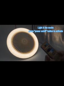 LED Light Fan Smart Fanlight With Remote Control Lights Bulb With Electric Fan For Ceiling And 3 IN 1 E27 Controller 3 Blades Remotely