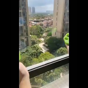 HOME BEST 1pc Pet Hair Remover For Laundry Fur Lint Catcher Clothes Cat Dog Hairs Remove Reusable Home Living Gadget