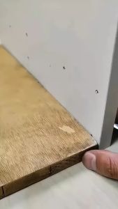 Bản lề gập duỗi 90 độ cho cửa tủ/ kệ/ đồ nội thất kiểu ẩn (1 chiếc)