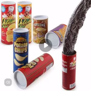 MAINAN PRANK CEMILAN POTATO KERIPIK KENTANG ISI ULAR BUSA/SERANGGA KECOA LELUCON TEMAN/SAHABAT/FAMILY /ANAK