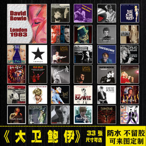 David Bowie Rock Guitar Waterproof Sticker for Laptop Mobile Phone Luggage Digital Accessories Decal by 3 Brand