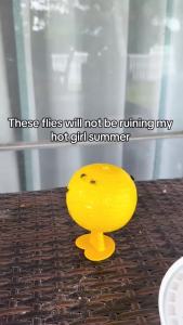 Sticky Insect Balls Are Used to Capture Fruit Flies and Small Flying Insects Especially Suitable for Indoor and Outdoor Use