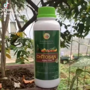 1 lít Phân bón CHITOSAN ĐẠM TÔM hữu cơ - Vacxin thực vật bảo vệ cây trồng - Rễ khỏe Cành chắc Lá Xanh Quả ngọt - 100% từ Thiên Nhiên