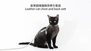 HIDREAM Adjustable Cat Harness Leash Set H-Shaped Support Lightweight Zinc Buckle Climbing Lock Eco RPET Webbing