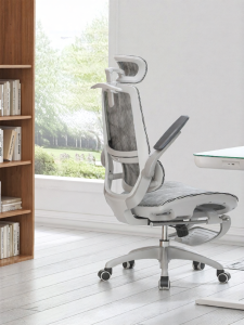 Musso | Ergonomic Home Office Gaming Chair