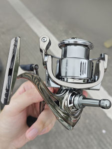 Domestic Lizard 22 Model Spinning Reel Dual Arm Special Long Casting Road Fishing Wheel with Balance Rod Included