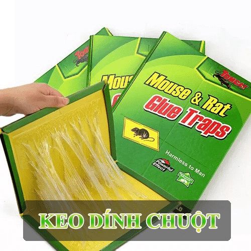 Keo dính chuột keo bẫy chuột siêu dính có thể tái sử dụng, Keo dính bẫy chuột siêu dính Mouse traps xanh trắng, Keo dính chuột Siêu Dính, Miếng keo dán chuột, Miếng bẫy chuột
