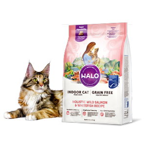 Halo | Digestive Health & Beauty Promoting Cat Food 10 lbs