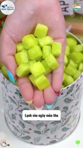 Kẹo lê an phế chanh muối 100g kẹo ngậm ho bổ phế giúp tiêu đờmấm họng tốt cho sức khỏe