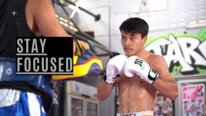 เป้ามือ เป้าต่อย ขนาดเล็ก โฟกัสดี ฝึกต่อยแม่น เป้ามวย เป้าซ้อมมวย - หนังแท้ ฝึกต่อย เป้ามวย ฝึกต่อย เป้าซ้อมมวย