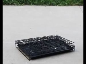 【Fast Deliver】 Pet Dog Cage Cat Cage READY STOCK Cat Cage Cat Tent Foldable Portable Washable 1.5ft cage 2 DOOR Cat Cage 1.5 Feet / Sangkar Kucing 1.5 Kaki 2 Pintu Foldable dog pet cage cat