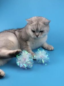 MEOW Pet Cat Toy Fun Hallow Tinkle Bell Ball Small Plastic Playing Ball Mainan Kucing Murah Bola Kucing Dog Toy Ball