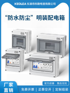 Openly Mounted Circuit Distribution Box Household Leakage Protection Switch Box Air Switch Control Box Low Voltage Application