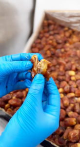 Kurma Zahedi Large Size  Premium Fresh & Crunchy Low Sugar Dates from Iran