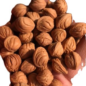 Qinling Small Gold Bean Peach Kernel Carving Necklace Bracelet Wenhua Woodworking Modern Online Exclusive Pure Electrolyte