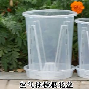兰花专用盆 空气柱透明控根盆 Transparent Orchid Pot Mesh pot Plastic Pot with hole Clear Orchid Nursery Pots Pasu Bunga Orkid
