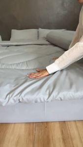 ชุดผ้าปูที่นอน - 24สี ขนาด 3.5 / 5 / 6 ฟุต เนื้อผ้าคอตตอนซาตินแท้ พร้อมส่ง