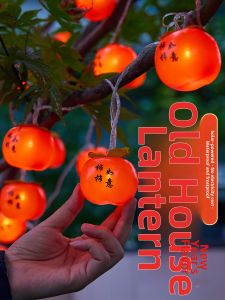 BEAUTY IN THE LIGHT | Festival Decorative Outdoor String Lights
