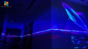 USB Hiệu Ứng Đi Cảnh 3D 4D Dung Lượng 32GB/64GB/128GB/256GB Bay Phòng Dùng Cho Máy Chiếu Màn Hình