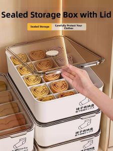 Multi-compartment Underwear Storage Organizer