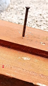 Búa Sừng Cừu Mini Chế Biến Gỗ Nhổ Đóng Đinh Đa Chức Năng