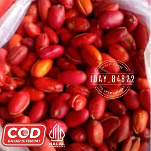 kulit Tangkil kulit melinjo 1kg Mateng Dan segar asli ful merah merona