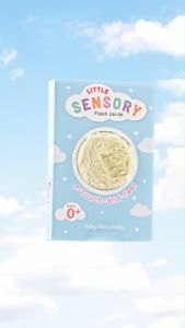 Little Sensory Flashcards (แฟลชการ์ดขนสัตว์ กระตุ้นพัฒนาการ)