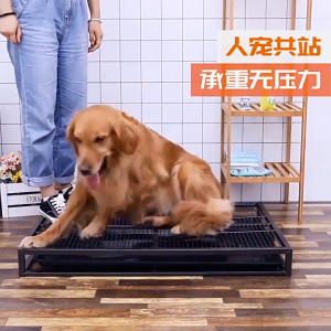 【COD-Ready Stock】Dog Toilet Drawer Pull-Out Small And Medium-Sized Dog Training Potty Dog Cleaning Pet Dog Bedpan
