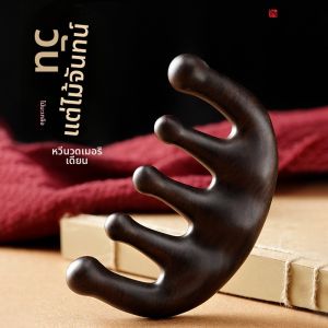 แปรงนวดผมทำจากไม้ดำ แปรงนวดผมแบบห้าฟันสำหรับผู้ชายและผู้หญิง ชุดเครื่องมือสำหรับการดูแลผม แปรงนวดผมแบบพกพาสำหรับผู้เชี่ยวชาญ